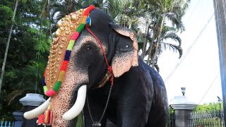 June 17 - Loka Kerala Sabha